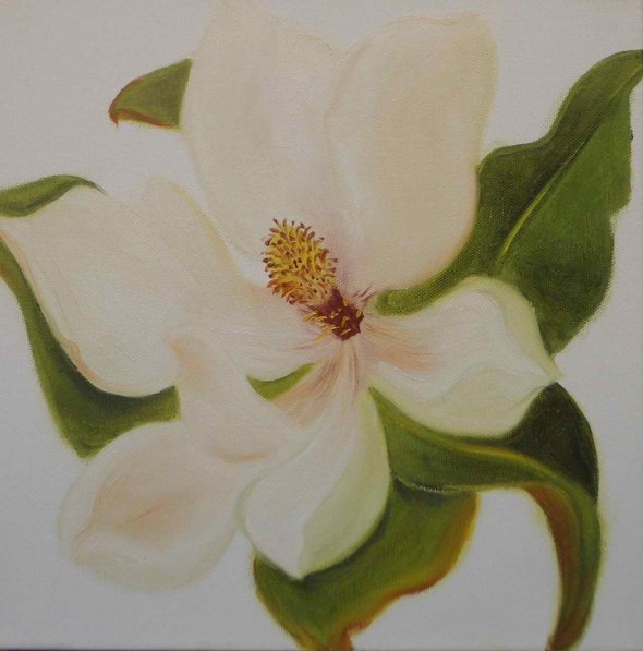               magnolia N3