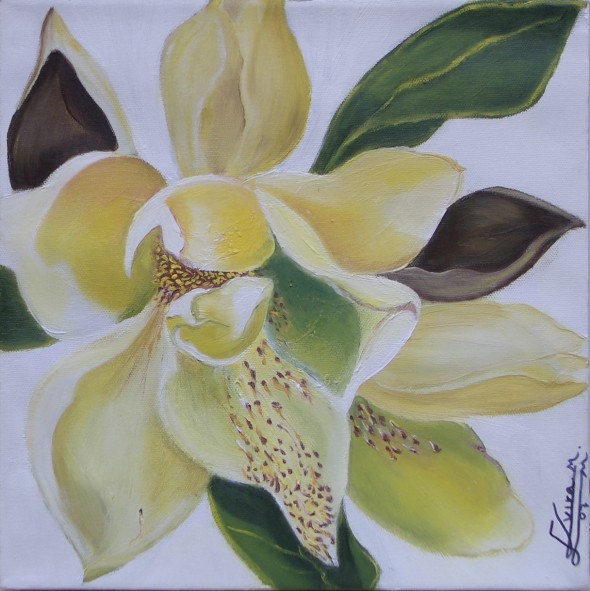 Magnolia N6