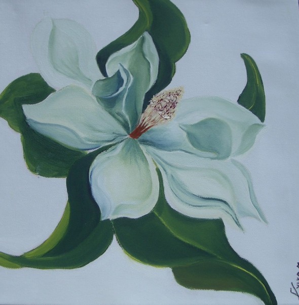 Magnolia N7