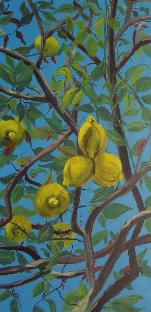 Dentro del limonero