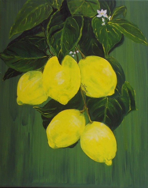 Rama de limonero
