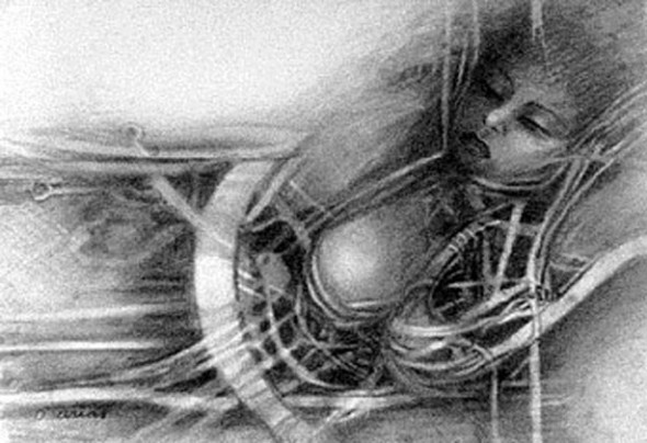 Sue�os de libertad 4