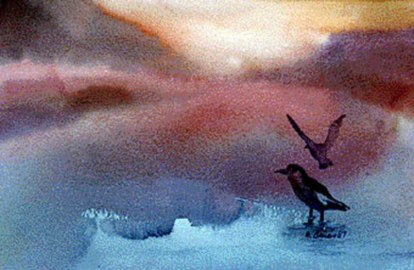Amanecer libre