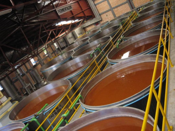 Fermentaci�n