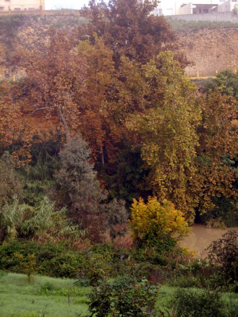 Colores de Oto�o