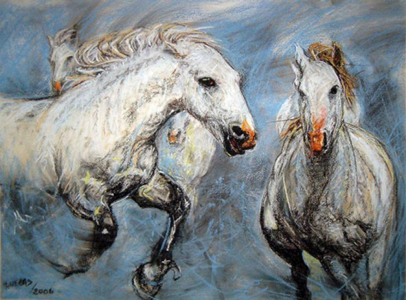 Libres