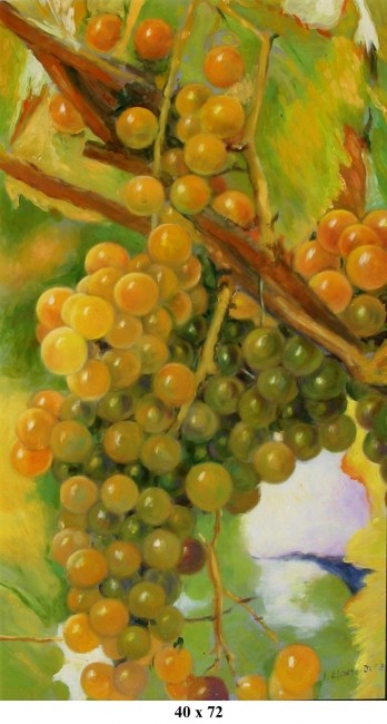 Uvas II