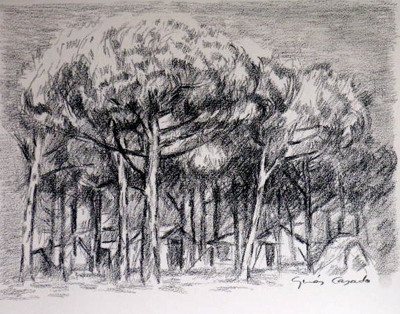 CASITA-PINOS