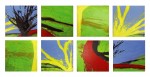 Obras de arte: America : Per� : Lima : Surco : polyptico