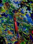 Obras de arte: Europa : Espa�a : Catalunya_Barcelona : BCN : Vida  Molecular