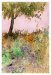 Obras de arte: Europa : Espa�a : Catalunya_Barcelona : Castelldefels : �rbol del Montseny (1)