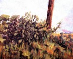 Obras de arte: Europa : Espa�a : Andaluc�a_Sevilla : Alcala_de_guadaira : Chumberas