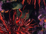 Obras de arte: Europa : Espa�a : Catalunya_Barcelona : BCN : Coral rojo