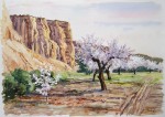 Obras de arte: Europa : Espa�a : Murcia : Murcia_ciudad : Barrancos y almendros en flor