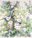 Obras de arte: Europa : Espa�a : Murcia : Murcia_ciudad : Rama de almendro en flor
