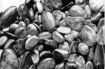 Obras de arte: Europa : Espa�a : Catalunya_Barcelona : Sant_Celoni : PIEDRAS DE R�O