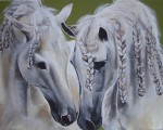 Animales