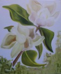 Obras de arte: Europa : Espa�a : Catalunya_Tarragona : Reus :         Magnolia N2