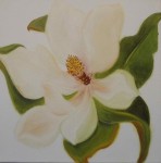 Obras de arte: Europa : Espa�a : Catalunya_Tarragona : Reus :               magnolia N3