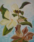 Obras de arte: Europa : Espa�a : Catalunya_Tarragona : Reus :  Extremadamente Bella   Magnolia N5