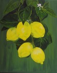 Obras de arte: Europa : Espa�a : Catalunya_Tarragona : Reus : Rama de limonero