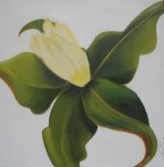 Obras de arte: Europa : Espa�a : Catalunya_Tarragona : Reus : Magnolia N4