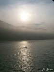 Obras de arte: America : Brasil : Sao_Paulo : Sao_Paulo_ciudad : Reise am Rhein II