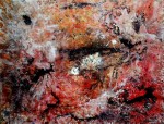 Obras de arte: Europa : Espa�a : Catalunya_Barcelona : llica_d�amunt : DISPERSI� VERMELLA
