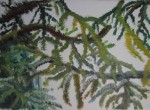 Obras de arte: Europa : Espa�a : Catalunya_Tarragona : Reus : Val  d�Aran