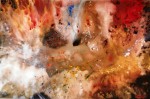 Obras de arte: Europa : Espa�a : Catalunya_Barcelona : llica_d�amunt : galaxia