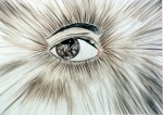 Obras de arte: America : M�xico : Jalisco : zapopan : Mi Ojo Creador