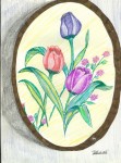 ILUSTRACIONES