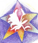 Obras de arte: Europa : Espa�a : Catalunya_Barcelona : BCN : Flor en la estrella 