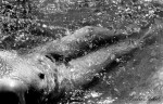 Obras de arte: Europa : Espa�a : Catalunya_Barcelona : Vilanova_i_la_Geltru : desnudo en el mar