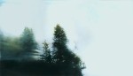 Obras de arte: Europa : Espa�a : Catalunya_Barcelona : Sant_Celoni : LUZ Y NIEBLA
