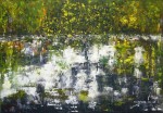 Obras de arte: Europa : Espa�a : Arag�n_Zaragoza : zaragoza_ciudad : La magia de la naturaleza