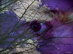 Obras de arte: Europa : Espa�a : Catalunya_Tarragona : Reus : Entre el cielo y la tierra,  Mirta Pagano