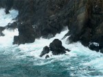 Obras de arte: Europa : Espa�a : Galicia_La_Coru�a : Coruna : Campo do Castro