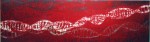 Obras de arte: Europa : Espa�a : Navarra : tudela : X dentro ADN