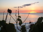 Obras de arte: America : Puerto_Rico : San_Juan_Puerto_Rico : Sanjuan : Atardecer