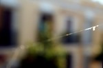 Obras de arte: Europa : Espa�a : Andaluc�a_Sevilla : Sevilla-ciudad : JuanLucena