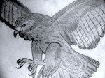 Obras de arte: America : Costa_Rica : Heredia : Heredia_centro : Aguila Imponente