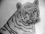 Obras de arte: America : Costa_Rica : Heredia : Heredia_centro : Tigre Domado