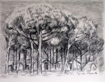 Obras de arte: Europa : Espa�a : Catalunya_Barcelona : Martorell : CASITA-PINOS