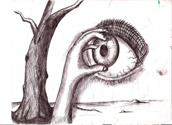 El ojo, un órgano que estimula los sentidos