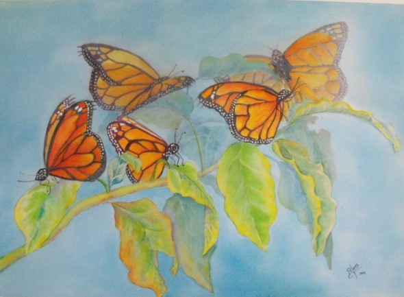"Michoacán entre Mariposas y Colibríes"