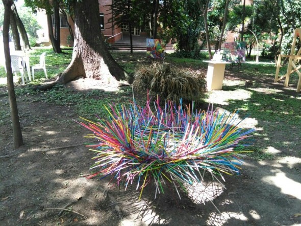 NIDO CONCEPTUAL