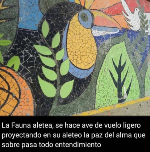 Territorios de Memoria y Color (Curaduria) By: Jairo Sinder