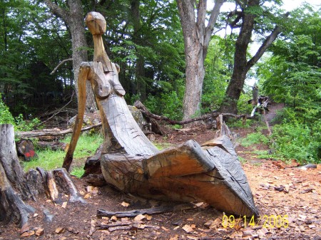 EL BOSQUE TALLADO
