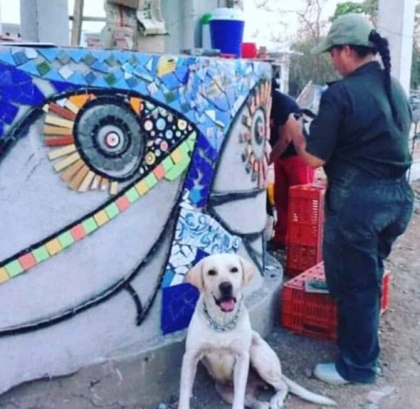 Yarime Lobo Baute, Tejiendo el caribe a través del Arte